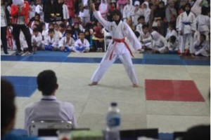Kejuaraan karate Inkai Cup I